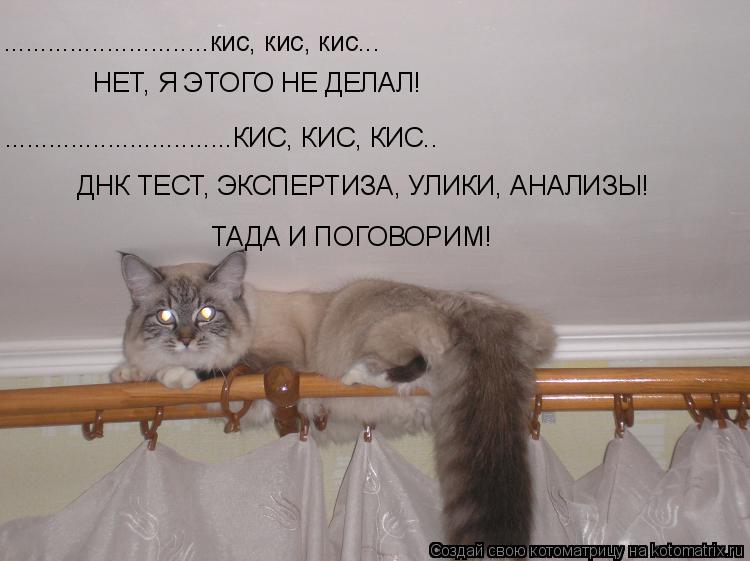 ............................кис, кис, кис... НЕТ, Я ЭТОГО НЕ ДЕЛАЛ! ...............................КИ... Котоматрица: ............................кис, кис, кис... НЕТ, Я ЭТОГО НЕ ДЕЛАЛ! ...............................КИС, КИС, КИС.. ТАДА И ПОГОВОРИМ! ДНК ТЕСТ, ЭКСПЕР