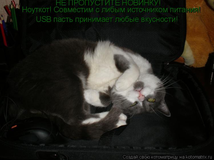 Ноуткот! Совместим с либым источником питания! USB пасть принимает любые вкусности! НЕ ПРОПУСТИТЕ НОВ... Котоматрица: Ноуткот! Совместим с либым источником питания! USB пасть принимает любые вкусности! НЕ ПРОПУСТИТЕ НОВИНКУ!