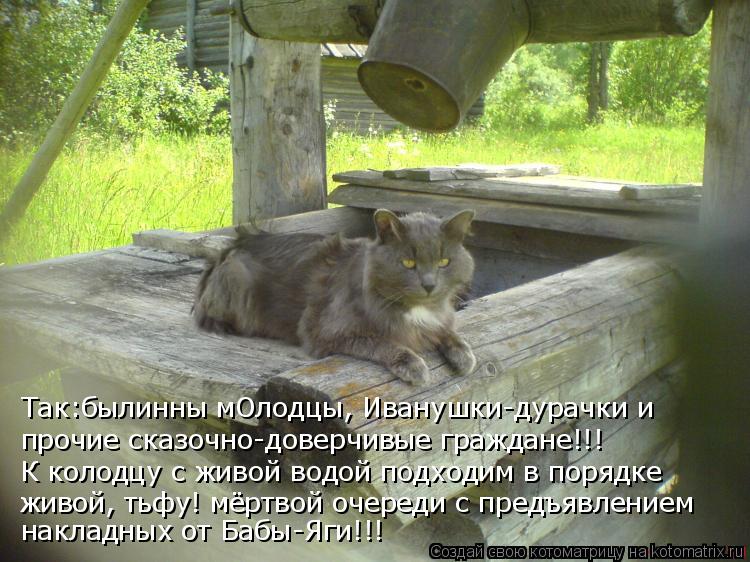Так:былинны мОлодцы, Иванушки-дурачки и прочие сказочно-доверчивые граждане!!! К колодцу с живой вод... Котоматрица: Так:былинны мОлодцы, Иванушки-дурачки и прочие сказочно-доверчивые граждане!!! К колодцу с живой водой подходим в порядке живой, тьфу! мёртв