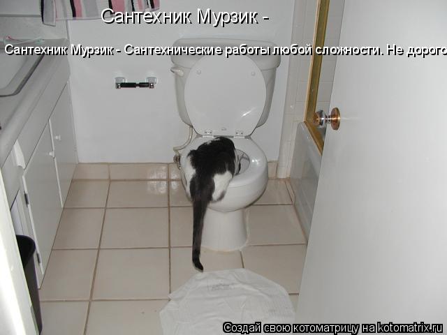 Котоматрица: Сантехник Мурзик -  Сантехник Мурзик - Сантехнические работы любой сложности Сантехник Мурзик - Сантехнические работы любой сложности. Не д