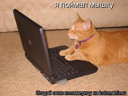 я поймал мышку... Котоматрица: я поймал мышку