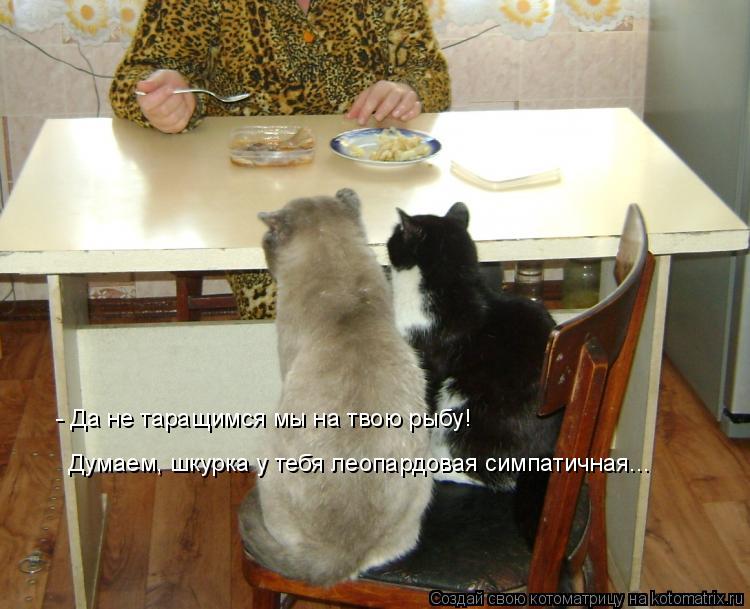 - Да не таращимся мы на твою рыбу! Думаем, шкурка у тебя леопардовая симпатичная...... Котоматрица: - Да не таращимся мы на твою рыбу! Думаем, шкурка у тебя леопардовая симпатичная...