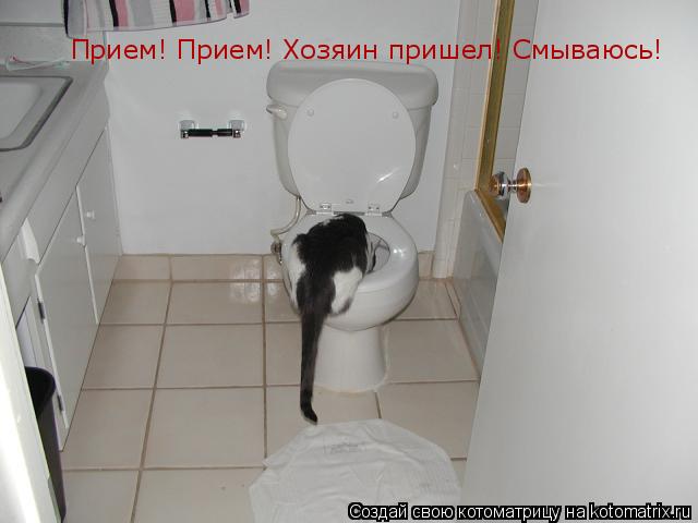 Прием! Прием! Хозяин пришел! Смываюсь!... Котоматрица: Прием! Прием! Хозяин пришел! Смываюсь!