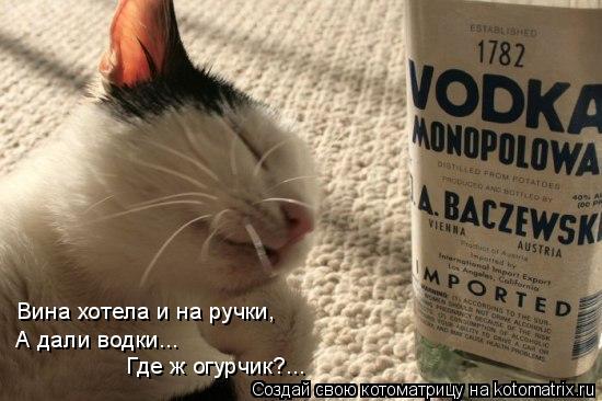 Вина хотела и на ручки, А дали водки... Где ж огурчик?...... Котоматрица: Вина хотела и на ручки, А дали водки... Где ж огурчик?...
