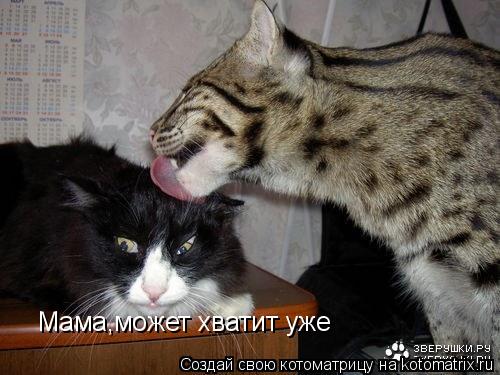 Мама,может хватит уже... Котоматрица: Мама,может хватит уже
