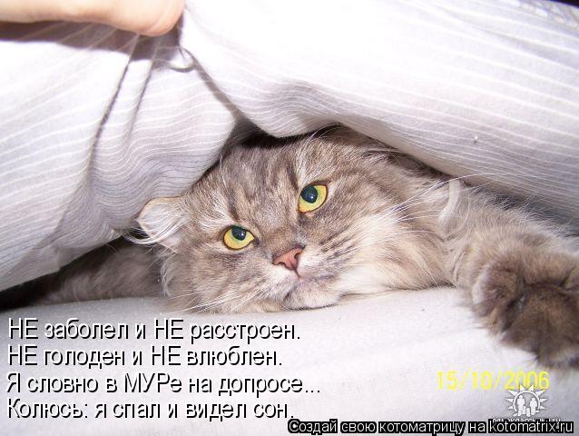 НЕ заболел и НЕ расстроен. НЕ голоден и НЕ влюблен. Я словно в МУРе на допросе... Колюсь: я спал и в... Котоматрица: НЕ заболел и НЕ расстроен. НЕ голоден и НЕ влюблен. Я словно в МУРе на допросе... Колюсь: я спал и видел сон.