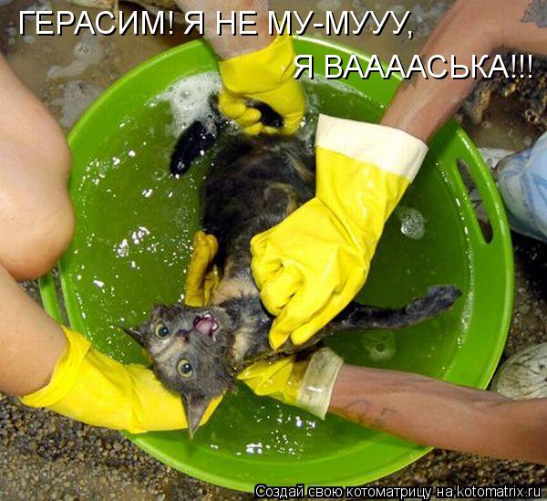 ГЕРАСИМ! Я НЕ МУ-МУУУ, Я ВААААСЬКА!!!... Котоматрица: ГЕРАСИМ! Я НЕ МУ-МУУУ, Я ВААААСЬКА!!!