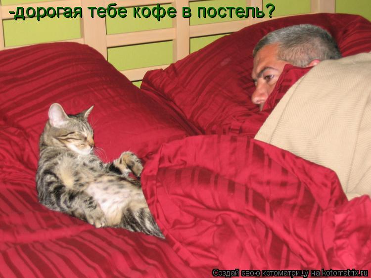 Котоматрица: -дорогая тебе кофе в постель?