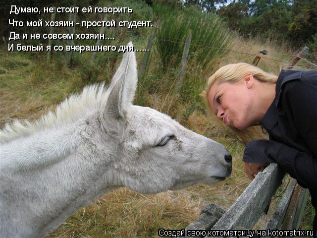 Думаю, не стоит ей говорить Что мой хозяин - простой студент. Да и не совсем хозяин.... И белый я со ... Котоматрица: Думаю, не стоит ей говорить Что мой хозяин - простой студент. Да и не совсем хозяин.... И белый я со вчерашнего дня......