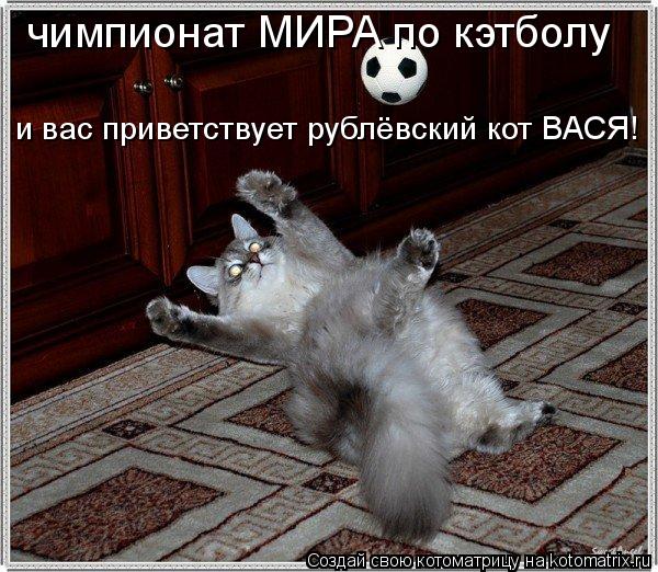 Котоматрица: чимпионат МИРА по кэтболу и вас приветствует рублёвский кот ВАСЯ!