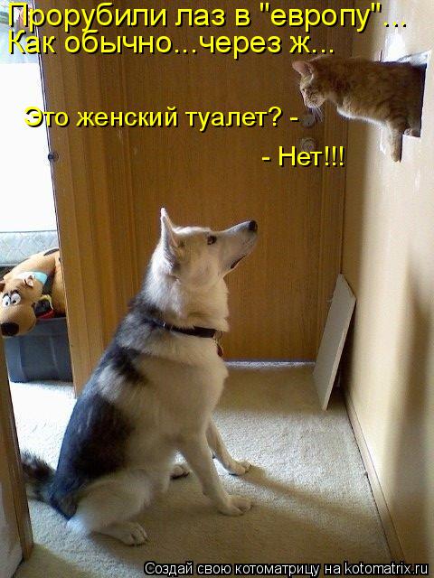 Прорубили лаз в "европу"... Как обычно...через ж... Это женский туалет? - - Нет!!!... Котоматрица: Прорубили лаз в "европу"... Как обычно...через ж... Это женский туалет? - - Нет!!!