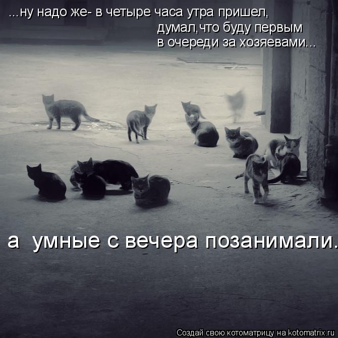 ...ну надо же- в четыре часа утра пришел, думал,что буду первым в очереди за хозяевами... а умные с ... Котоматрица: ...ну надо же- в четыре часа утра пришел, думал,что буду первым в очереди за хозяевами... а умные с вечера позанимали.
