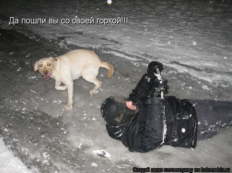 Да пошли вы со своей горкой!!!... Котоматрица: Да пошли вы со своей горкой!!!