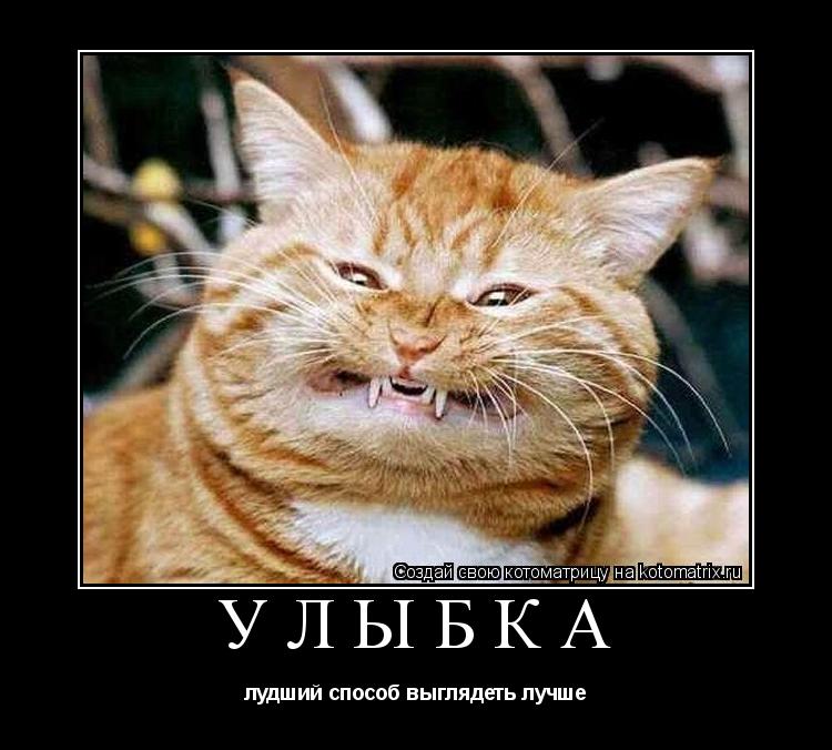 улыбка лудший способ выглядеть лучше... Котоматрица: улыбка лудший способ выглядеть лучше