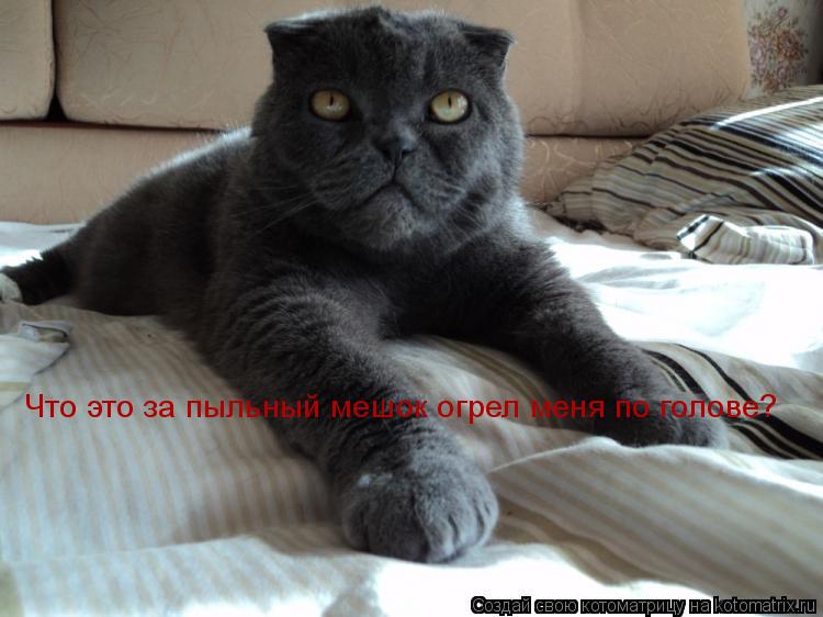 Что это за пыльный мешок огрел меня по голове?... Котоматрица: Что это за пыльный мешок огрел меня по голове?