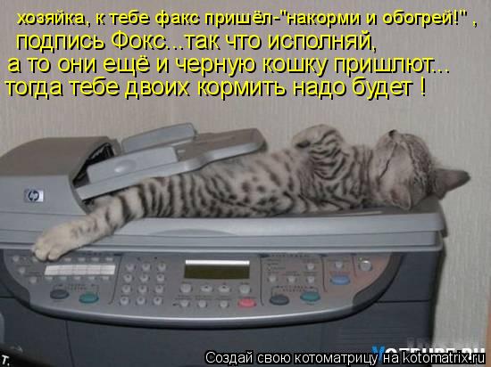 Котоматрица: хозяйка, к тебе факс пришёл-"накорми и обогрей!" , подпись Фокс...так что исполняй, а то они ещё и черную кошку пришлют... тогда тебе двоих корми