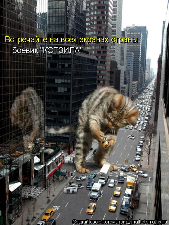 Встречайте на всех экранах страны боевик "КОТЗИЛА"... Котоматрица: Встречайте на всех экранах страны боевик "КОТЗИЛА"