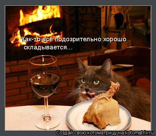 Как-то всё подозрительно хорошо складывается...... Котоматрица: Как-то всё подозрительно хорошо складывается...