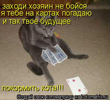 заходи хозяин не бойся я тебе на картах погадаю и так твоё будущее покормить кота!!!... Котоматрица: заходи хозяин не бойся я тебе на картах погадаю и так твоё будущее покормить кота!!!