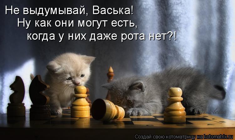 Не выдумывай, Васька! Ну как они могут есть, когда у них даже рота нет?!... Котоматрица: Не выдумывай, Васька! Ну как они могут есть, когда у них даже рота нет?!