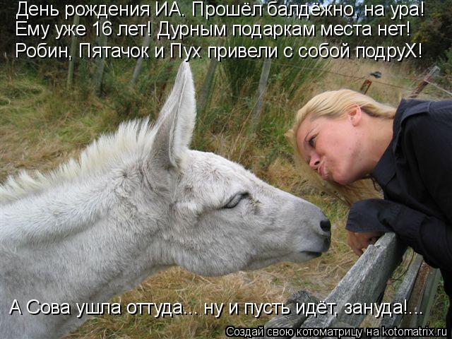 День рождения ИА. Прошёл балдёжно, на ура! Робин, Пятачок и Пух привели с собой подруХ! Ему уже 16 ле... Котоматрица: День рождения ИА. Прошёл балдёжно, на ура! Робин, Пятачок и Пух привели с собой подруХ! Ему уже 16 лет! Дурным подаркам места нет! А Сова ушла от