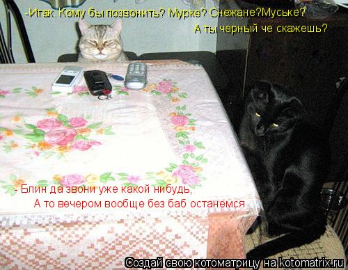 Котоматрица: -Итак. Кому бы позвонить? Мурке? Снежане?Муське?  А ты черный че скажешь?  - Блин да звони уже какой нибудь,   А то вечером вообще без баб останем