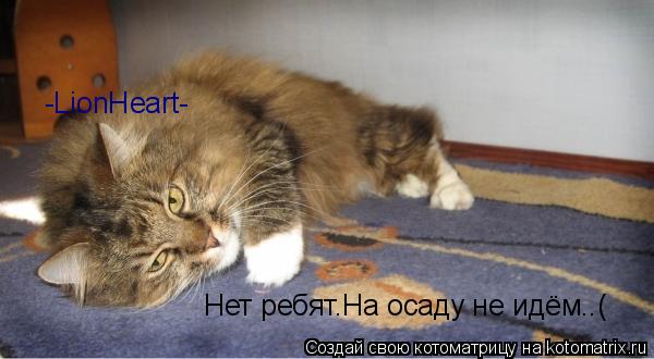 -LionHeart- Нет ребят.На осаду не идём..(... Котоматрица: -LionHeart- Нет ребят.На осаду не идём..(