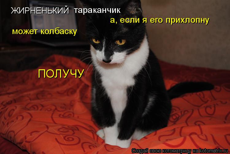ЖИРНЕНЬКИЙ тараканчик а, если я его прихлопну может колбаску ПОЛУЧУ... Котоматрица: ЖИРНЕНЬКИЙ тараканчик а, если я его прихлопну может колбаску ПОЛУЧУ
