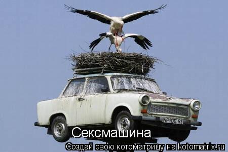 Сексмашина... Котоматрица: Сексмашина