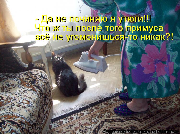 - Да не починяю я утюги!!! Что ж ты после того примуса всё не угомонишься-то никак?!... Котоматрица: - Да не починяю я утюги!!! Что ж ты после того примуса всё не угомонишься-то никак?!