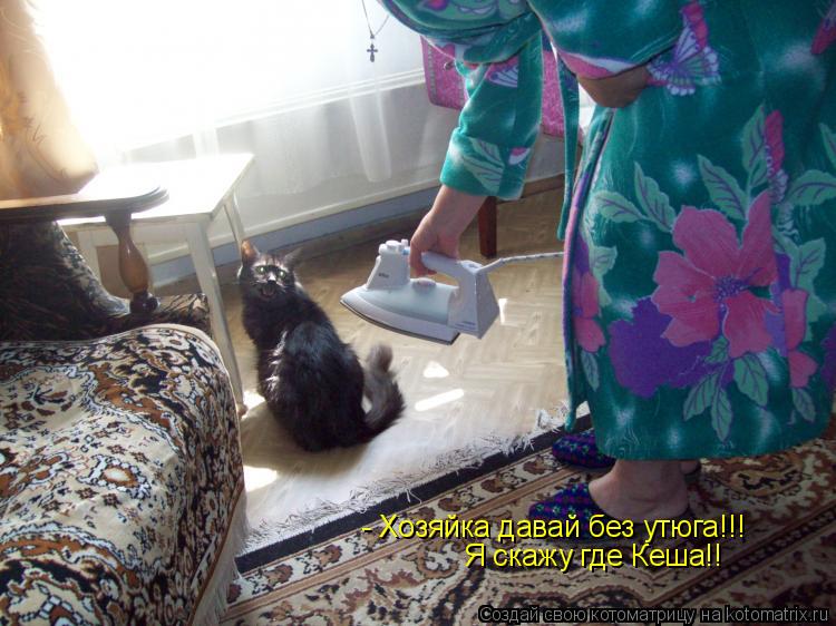 Котоматрица: - Хозяйка давай без утюга!!!  Я скажу где Кеша!!