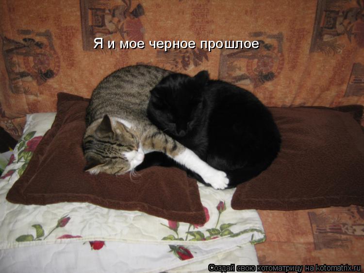 Я и мое черное прошлое... Котоматрица: Я и мое черное прошлое