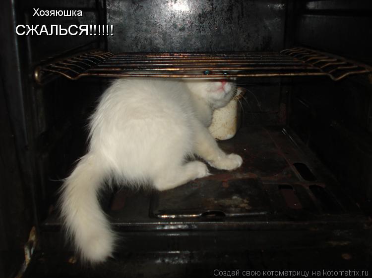 Хозяюшка СЖАЛЬСЯ!!!!!!... Котоматрица: Хозяюшка СЖАЛЬСЯ!!!!!!