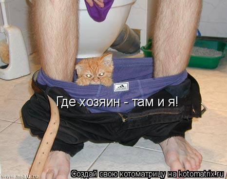Где хозяин - там и я!... Котоматрица: Где хозяин - там и я!