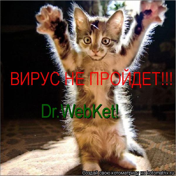 ВИРУС НЕ ПРОЙДЕТ!!! Dr.WebKet!®... Котоматрица: ВИРУС НЕ ПРОЙДЕТ!!! Dr.WebKet!®