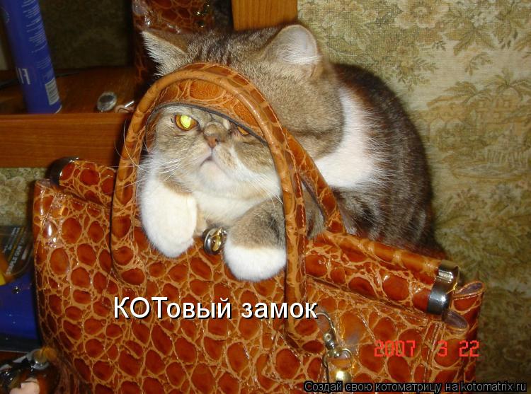 КОТовый замок... Котоматрица: КОТовый замок