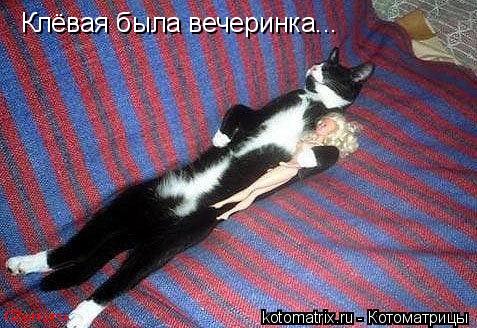 Клёвая была вечеринка...... Котоматрица: Клёвая была вечеринка...