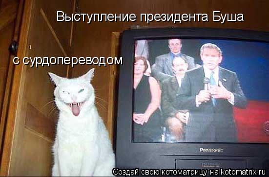Выступление президента Буша с сурдопереводом... Котоматрица: Выступление президента Буша с сурдопереводом
