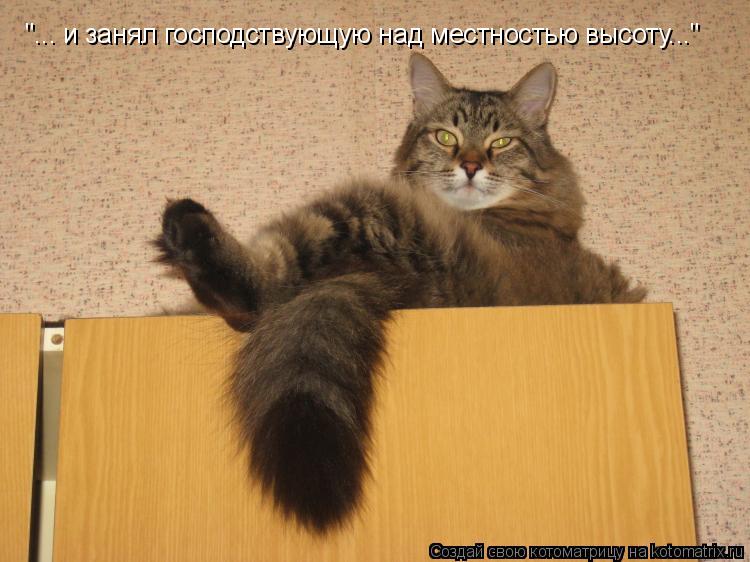 "... и занял господствующую над местностью высоту..."... Котоматрица: "... и занял господствующую над местностью высоту..."