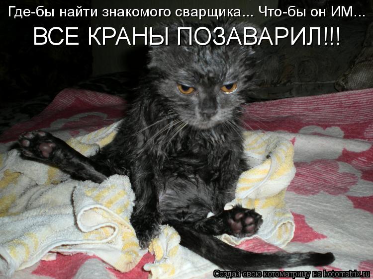 Где-бы найти знакомого сварщика... Что-бы он ИМ... ВСЕ КРАНЫ ПОЗАВАРИЛ!!!... Котоматрица: Где-бы найти знакомого сварщика... Что-бы он ИМ... ВСЕ КРАНЫ ПОЗАВАРИЛ!!!