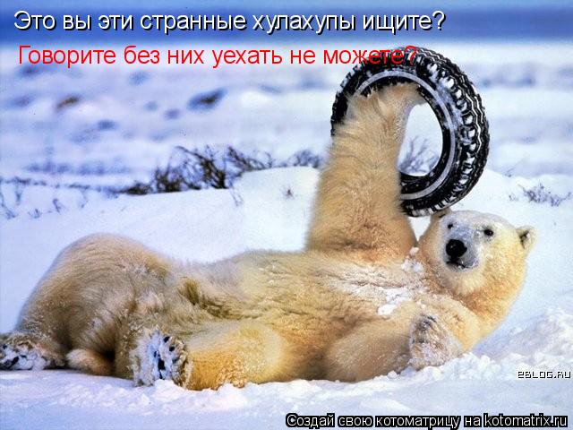 Это вы эти странные хулахупы ищите? Говорите без них уехать не можете?... Котоматрица: Это вы эти странные хулахупы ищите? Говорите без них уехать не можете?