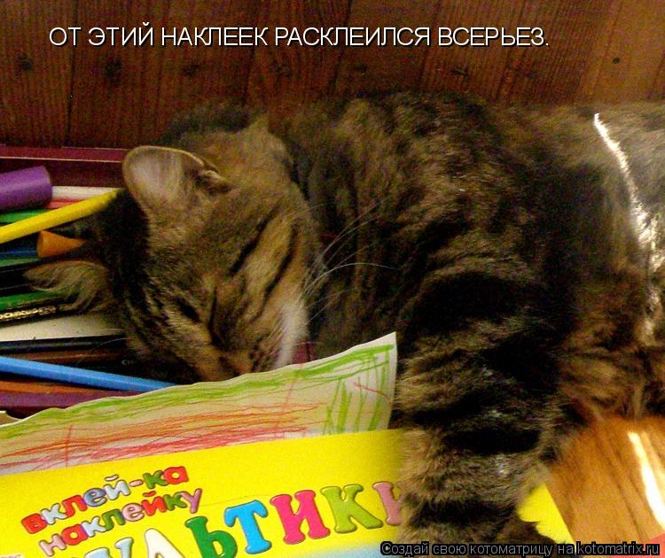 ОТ ЭТИЙ НАКЛЕЕК РАСКЛЕИЛСЯ ВСЕРЬЕЗ.... Котоматрица: ОТ ЭТИЙ НАКЛЕЕК РАСКЛЕИЛСЯ ВСЕРЬЕЗ.