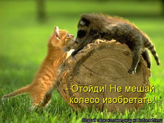 - Отойди! Не мешай колесо изобретать!... Котоматрица: - Отойди! Не мешай колесо изобретать!