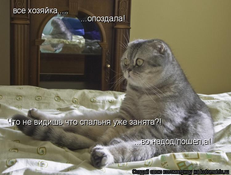все хозяйка,.... ...опоздала! Что не видишь что спальня уже занята?! ...во,надод пошел,а!... Котоматрица: все хозяйка,.... ...опоздала! Что не видишь что спальня уже занята?! ...во,надод пошел,а!