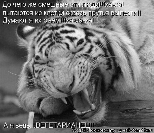 До чего же смешные эти люди!!!ха-ха! пытаются из клетки сквозь прутья вылезти!! Думают я их съем!!!ха... Котоматрица: До чего же смешные эти люди!!!ха-ха! пытаются из клетки сквозь прутья вылезти!! Думают я их съем!!!ха-ха-ха!!! А я ведь...ВЕГЕТАРИАНЕЦ!!