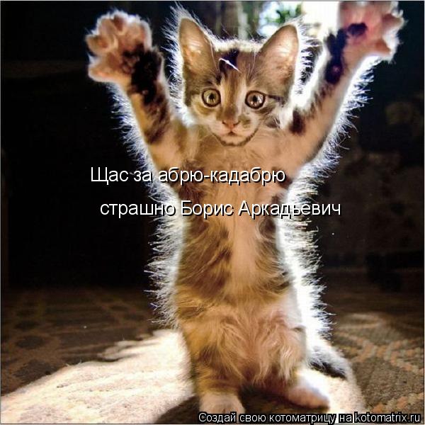 Щас за абрю-кадабрю страшно Борис Аркадьевич... Котоматрица: Щас за абрю-кадабрю страшно Борис Аркадьевич