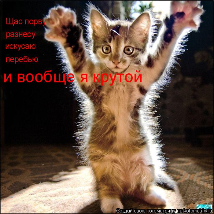 разнесу искусаю перебью Щас порву и вообще я крутой... Котоматрица: разнесу искусаю перебью Щас порву и вообще я крутой