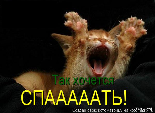 Так хочется СПАААААТЬ!... Котоматрица: Так хочется СПАААААТЬ!