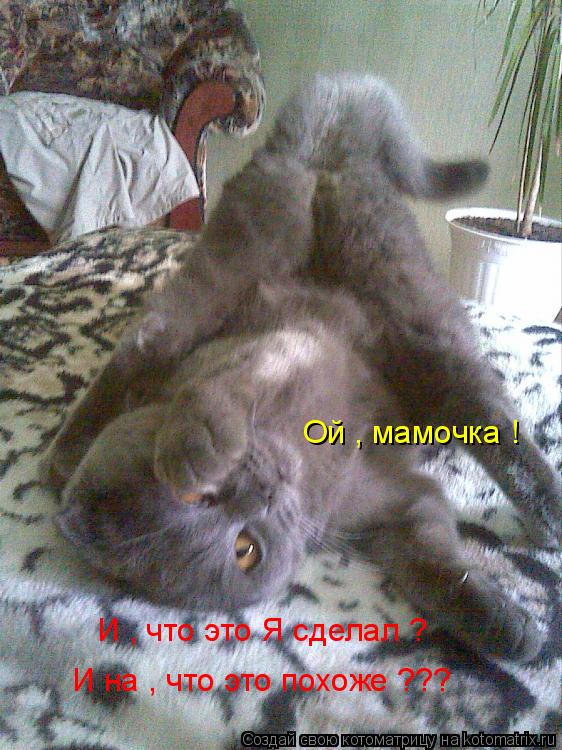 Ой , мамочка ! И , что это Я сделал ? И на , что это похоже ???... Котоматрица: Ой , мамочка ! И , что это Я сделал ? И на , что это похоже ???