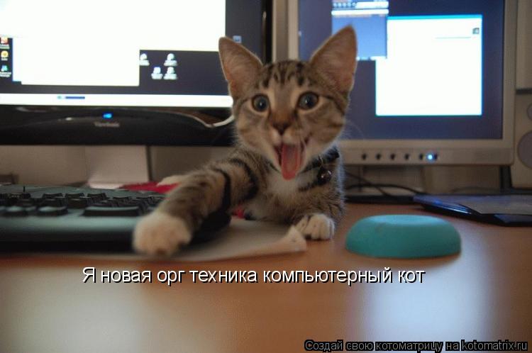 Я новая орг техника компьютерный кот... Котоматрица: Я новая орг техника компьютерный кот